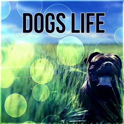 Dogs Life - Calm Down Your Animal Companion, Soothing Nature Sounds for Puppies & Cats