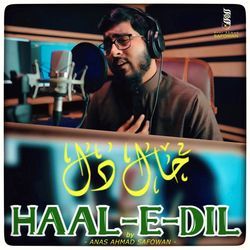 Haal-E-Dil-Ag8iSCR0bnY