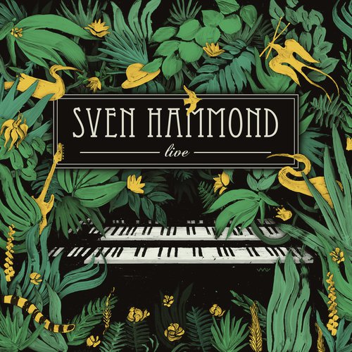After Smoke (Live From Paard, Den Haag/2016) cover art