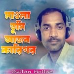 Maula Tumi Ajob Karigor