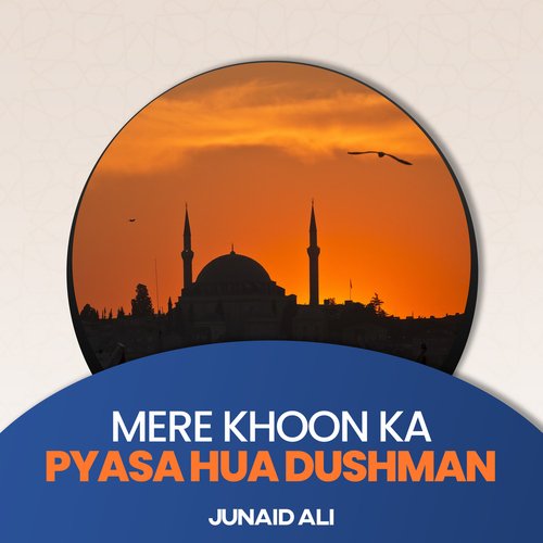Mere Khoon Ka Pyasa Hua Dushman