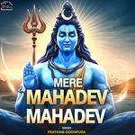 Mere Mahadev Mahadev