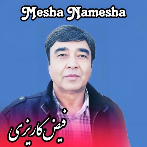 Mesha Namesha