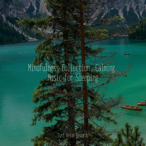 Mindfulness Collection: Calming Music for Sleeping