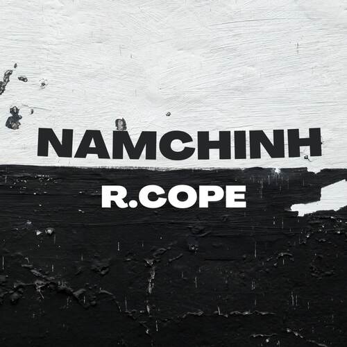 Namchinh