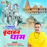 Pyaro Vrindavan Dham (Hindi)
