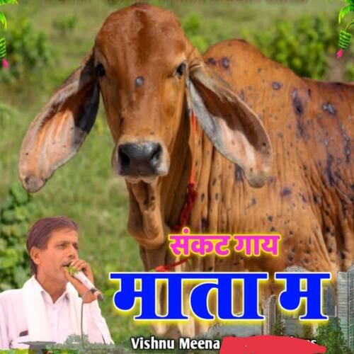 Sankat Gay Mata Mein