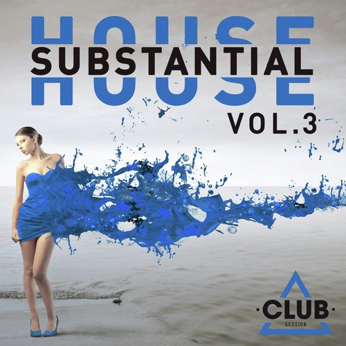 Substantial House, Vol. 3
