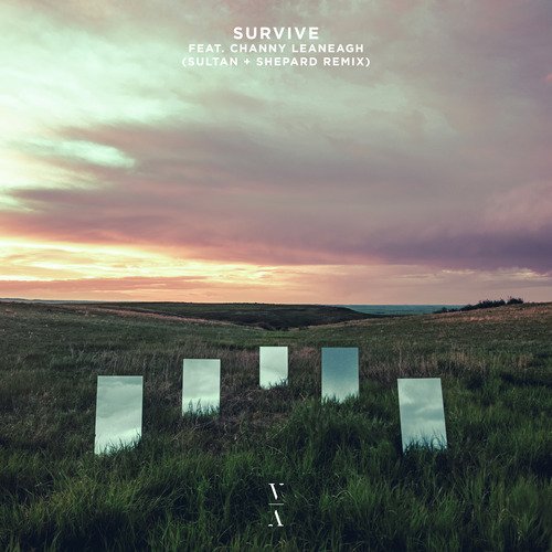 Survive (Sultan + Shepard Remix)_poster_image