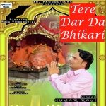 Tere Dar Da Bhikari