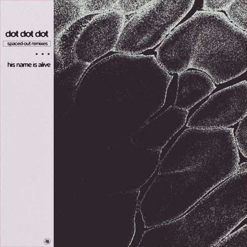 Tina with Tails and Petals (His Name Is Alive Remix) cover art