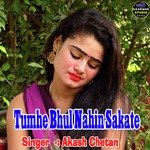 Tumhe Bhul Nahin Sakate