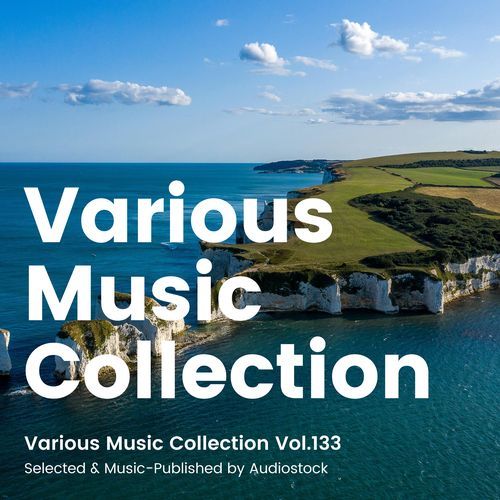 Various Music Collection Vol.133 -Selected & Music-Published by Audiostock-