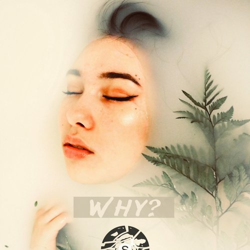 Why_poster_image