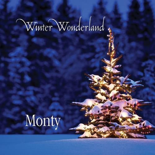 Winter Wonderland_poster_image