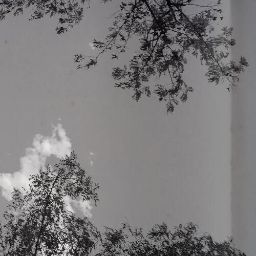 gray cover art