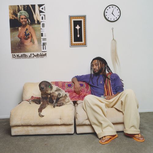 13 Months of Sunshine