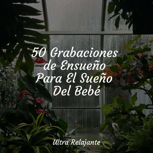 50 Grabaciones de Ensueño Para El Sueño Del Bebé_poster_image