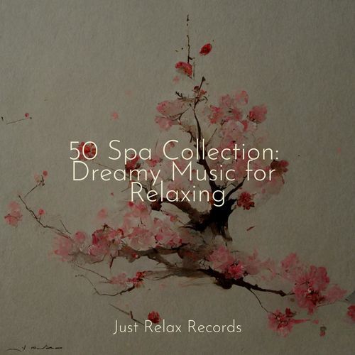 50 Spa Collection: Dreamy Music for Relaxing_poster_image