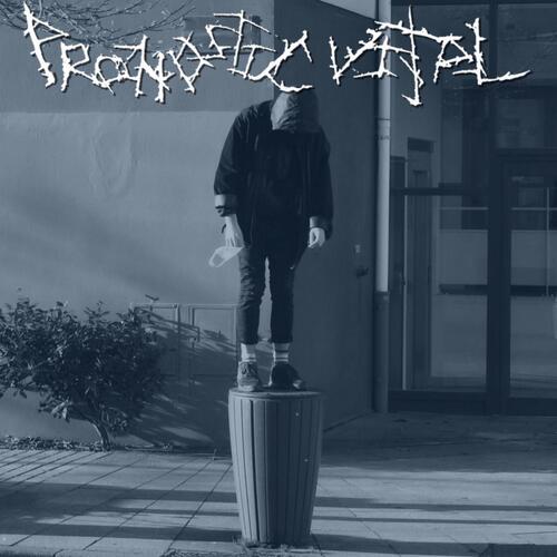 Carcasses (feat Ventre de Biche) cover art