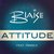 Attitude (David Noakes Radio Edit)