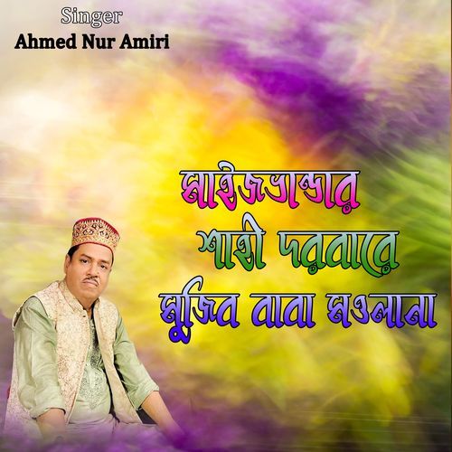 মাইজভান্ডার শাহী দরবারে মুজিব বাবা মওলানা