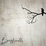 Beyshaakh
