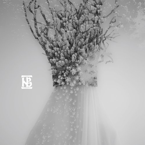 Brad (Single Edit) cover art