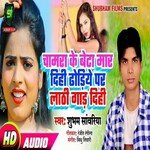 Chamra Ke Beta Mar Dihi Dhodiye Par Lathi Gar Dihi