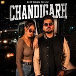 Chandigarh artwork