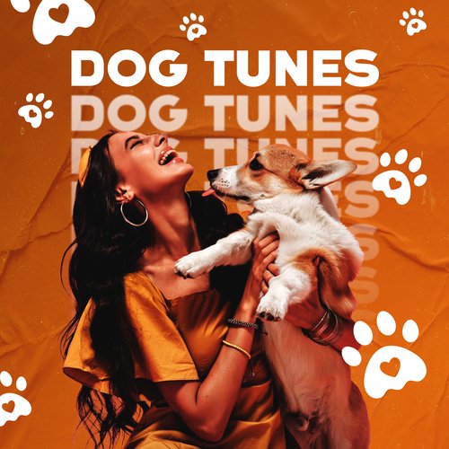 Pet Care Club cover art