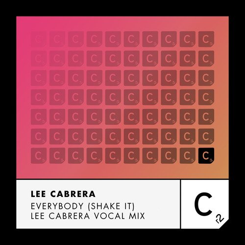 Everybody (Shake It) (Lee Cabrera Vocal Mix)