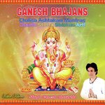 Ganesh Bhajans Chalisa Ashtakam Mantras Chants Stotra Shlokas Arti  Shubh Ganesh Chaturthi