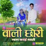 Instagram Wali Chori Naam Kai Tharo (Marwadi Song)