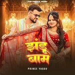 Jhandu Baam | Prince Yadav | Haryanvi Song