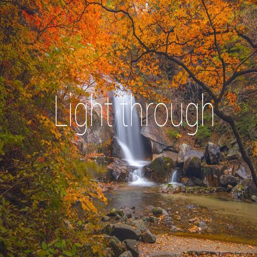 Light trough