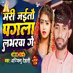 Mari Jaiyau Pagala Loverva Ge