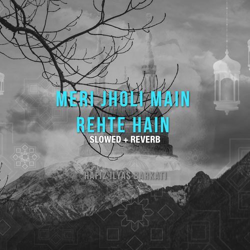 Meri Jholi Main Rehte Hain (Lofi-Mix)