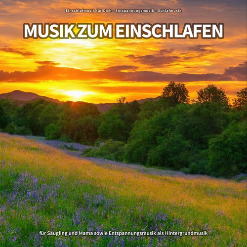 Wellness cover art