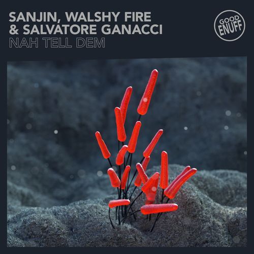 Nah Tell Dem cover art