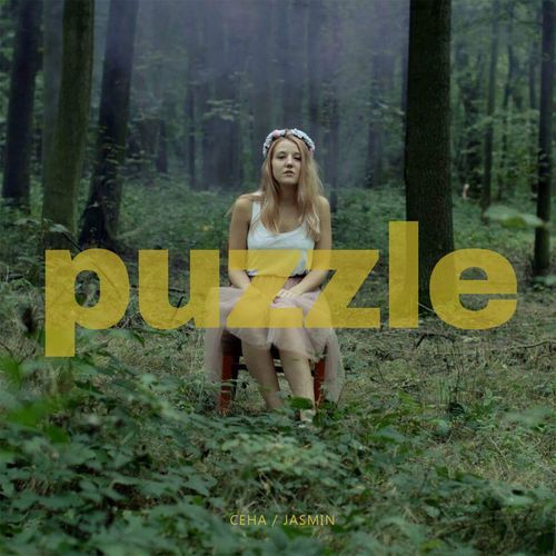 Puzzle_poster_image