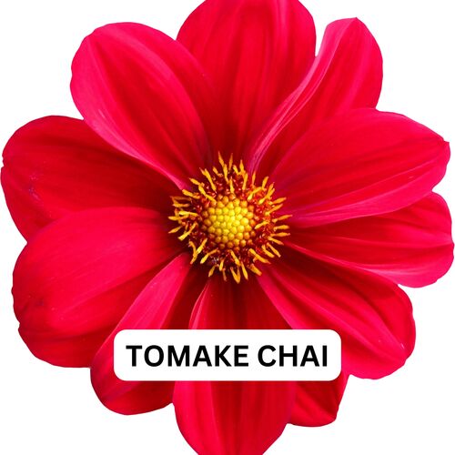 TOMAKE CHAI