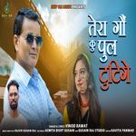 Tera Gaon Ku Pull Tutige