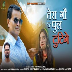 Tera Gaon Ku Pull Tutige