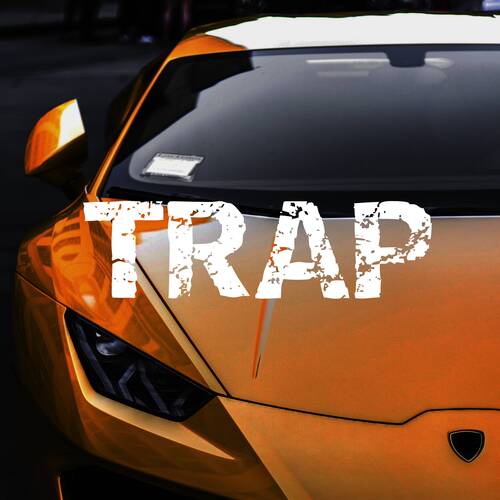 Trap