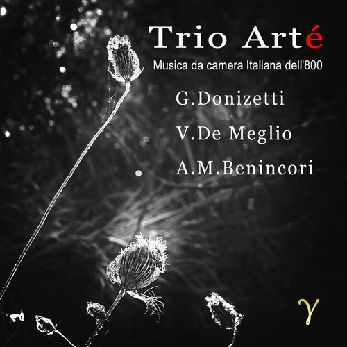 Trio Arte' musica da Camera Italiana Dell'800