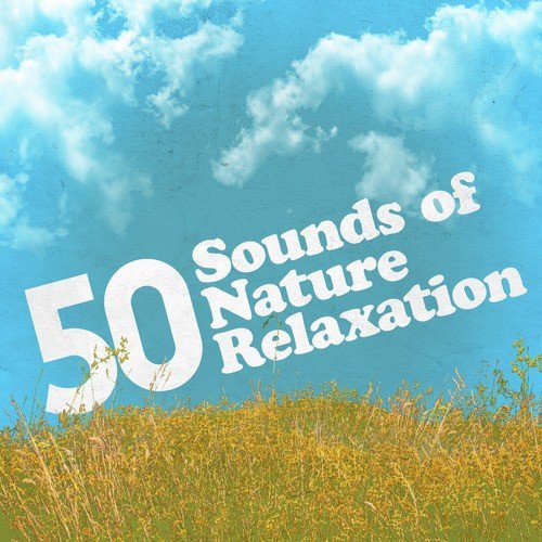 50 Sounds of Nature Relaxation