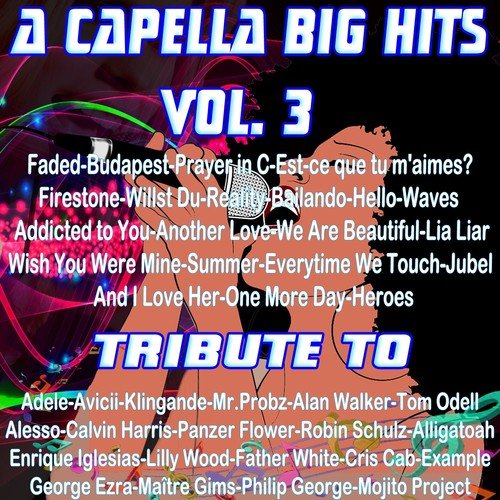 A Capella Big Hits, Vol. 3 (A Capella Versions)