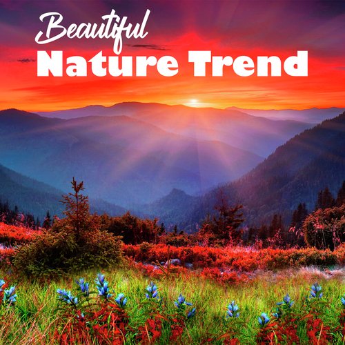 Beautiful Nature Trend_poster_image