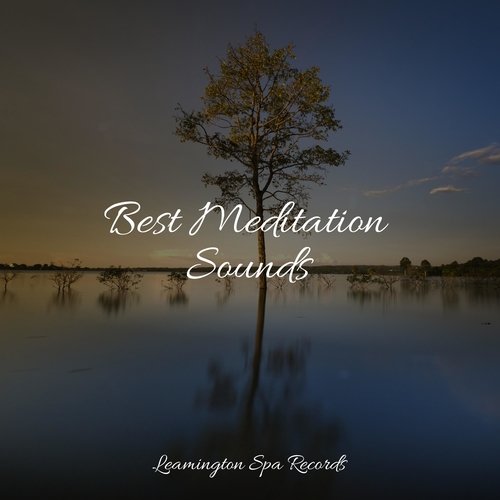 Wellbeing cover art